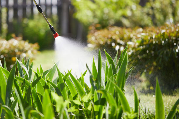 Tamper-Resistant Bait Stations for Rodents in Winchester