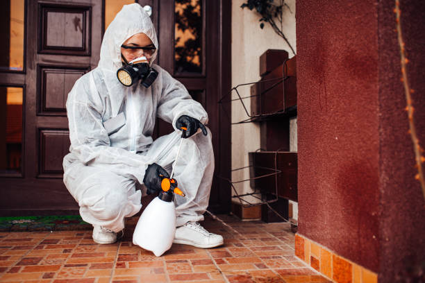 Attic and Crawl Space Rodent Treatment in Winchester