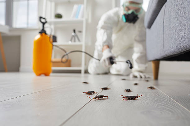 Commercial Rodent Management in Winchester